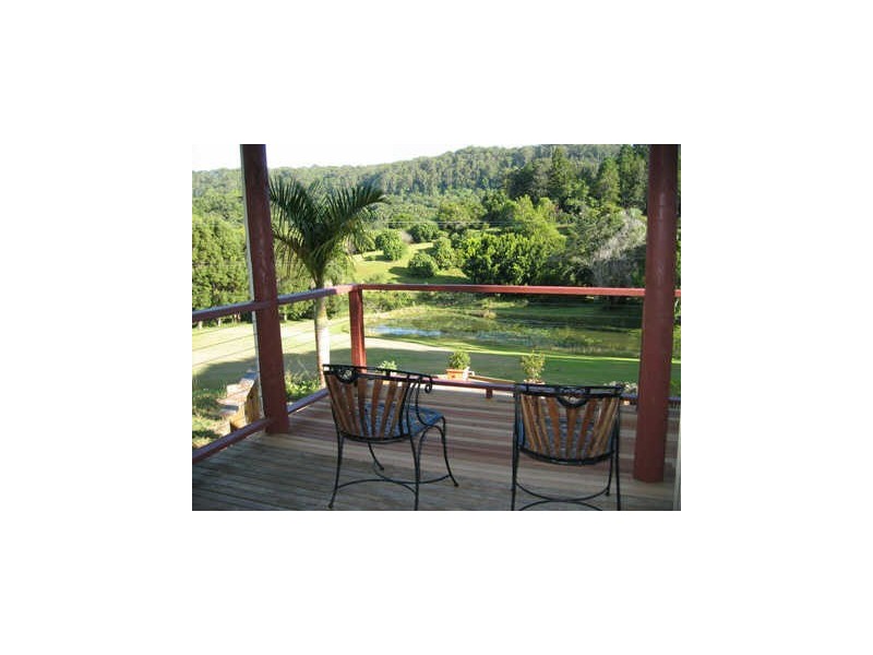 655 Wilsons Creek Road, Wilsons Creek NSW 2482