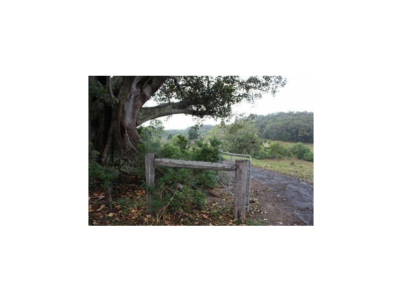 Billinudgel NSW 2483