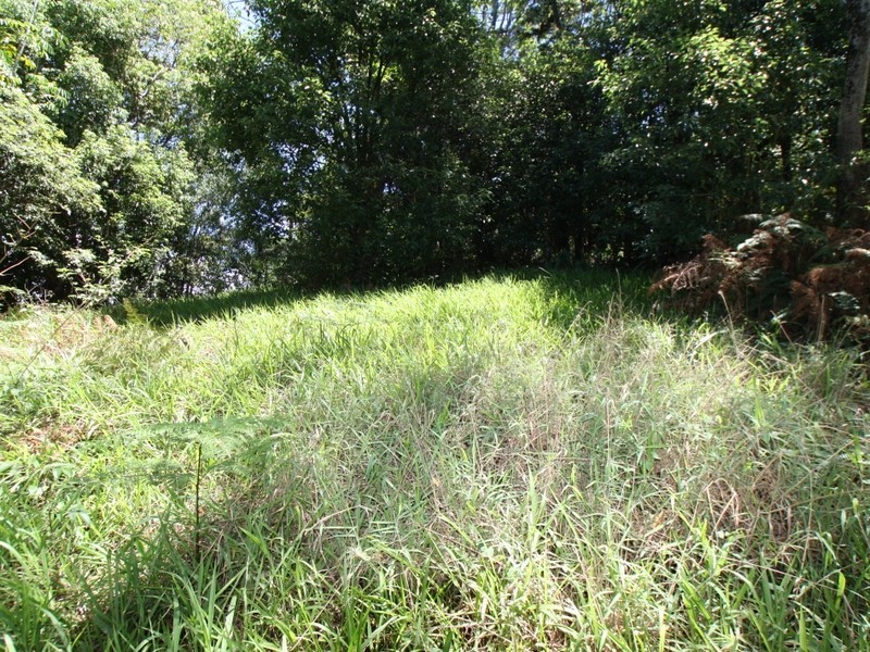 8 Arika Avenue, Ocean Shores NSW 2483