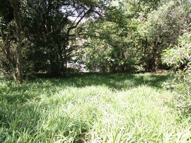 8 Arika Avenue, Ocean Shores NSW 2483