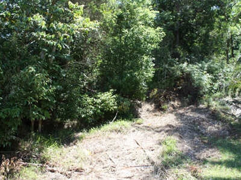 8 Arika Avenue, Ocean Shores NSW 2483