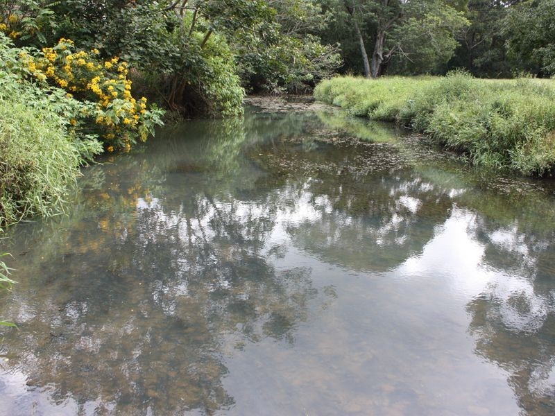 722 Main Arm Road, Mullumbimby NSW 2482