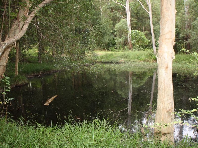 5517 Tweed Valley Way, Crabbes Creek NSW 2483