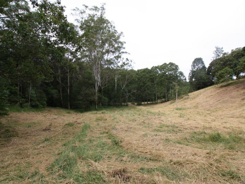 5517 Tweed Valley Way, Crabbes Creek NSW 2483