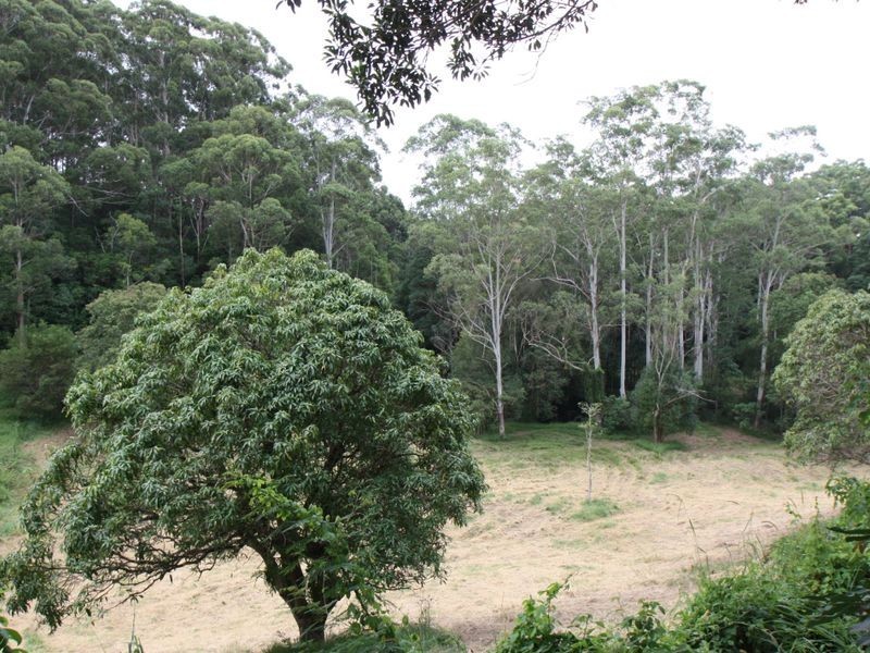 5517 Tweed Valley Way, Crabbes Creek NSW 2483