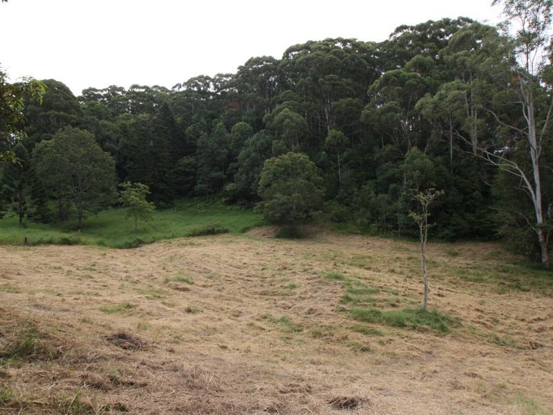 5517 Tweed Valley Way, Crabbes Creek NSW 2483