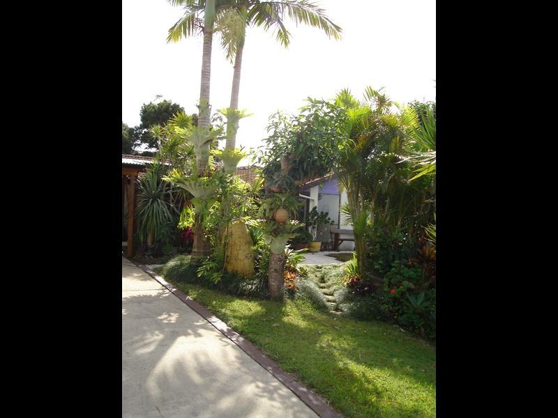 22 Goondooloo Drive, Ocean Shores NSW 2483
