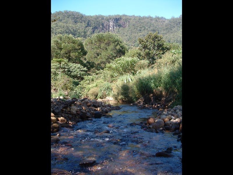 400 Wilsons Creek Road, Wilsons Creek NSW 2482