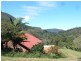 400 Wilsons Creek Road, Wilsons Creek NSW 2482