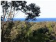 14 Banool Circuit, Ocean Shores NSW 2483