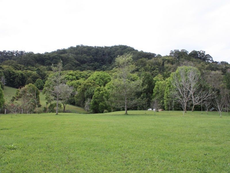 578 The Pocket Road, The Pocket NSW 2483