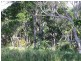 24 River Street, New Brighton NSW 2483