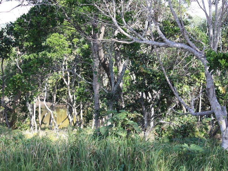 24 River Street, New Brighton NSW 2483