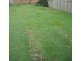 9 MINYON STREET, Brunswick Heads NSW 2483