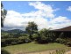 136 Moffatts Road, Billinudgel NSW 2483