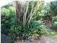 13 Booyun Street, Brunswick Heads NSW 2483