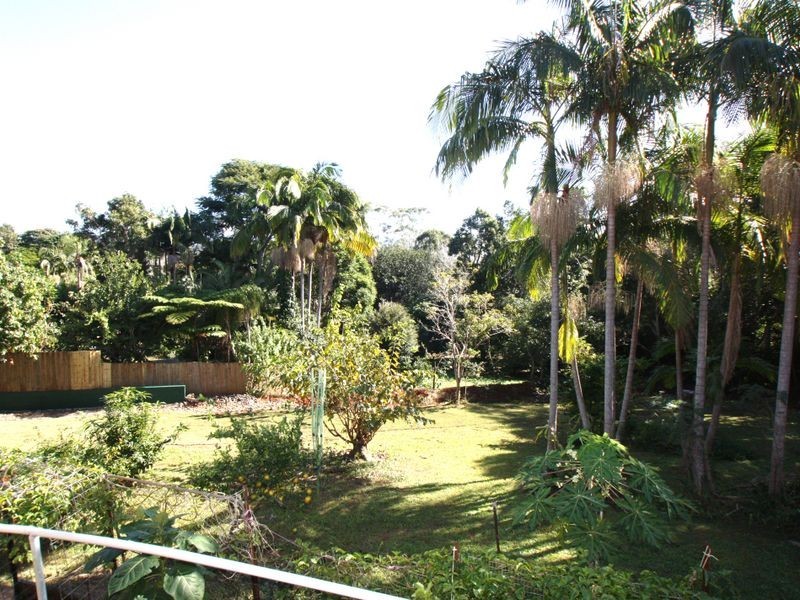 16 Azalea Street, Mullumbimby NSW 2482