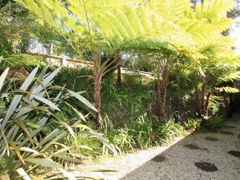 103 Balemo Drive, Ocean Shores NSW 2483