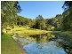 Burringbar Road, Burringbar NSW 2483