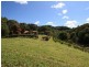 22 Billinudgel Road, Billinudgel NSW 2483