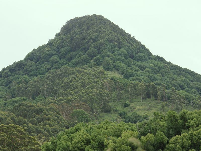 11 Kurrajong Street, Mullumbimby NSW 2482