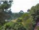 91 Orana Road, Ocean Shores NSW 2483
