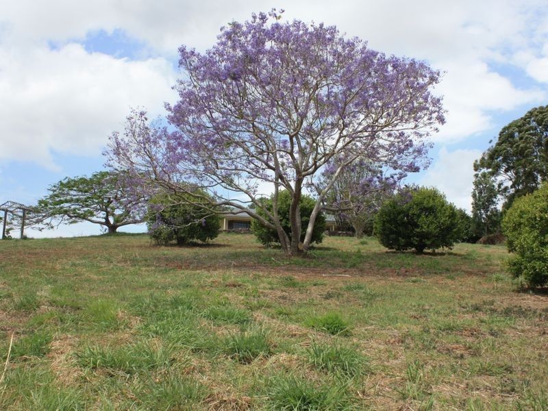 204 The Manse Road, Myocum NSW 2481
