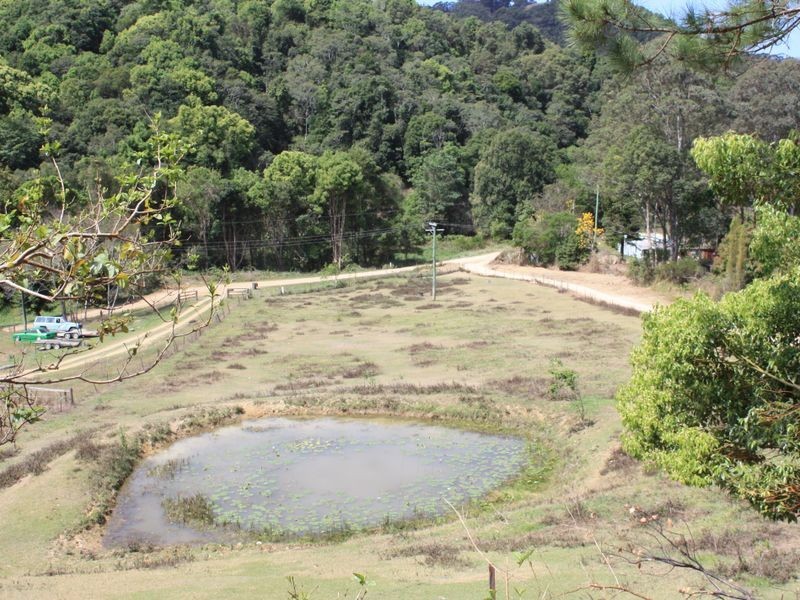 205 Kileys Road, Mooball NSW 2483