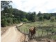 205 Kileys Road, Mooball NSW 2483