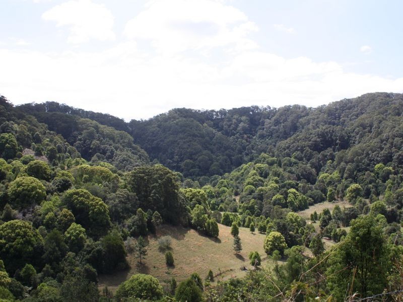 205 Kileys Road, Mooball NSW 2483