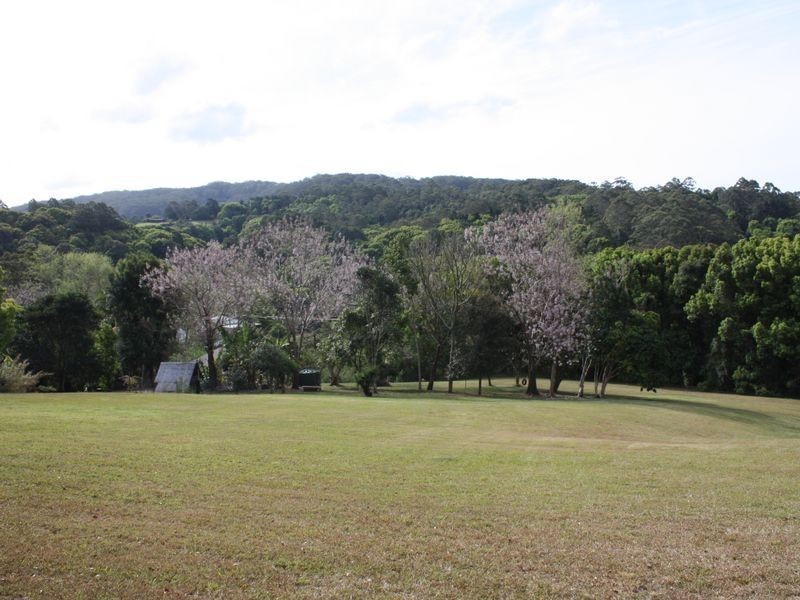 89 Parmenter’s Road, Wilsons Creek NSW 2482