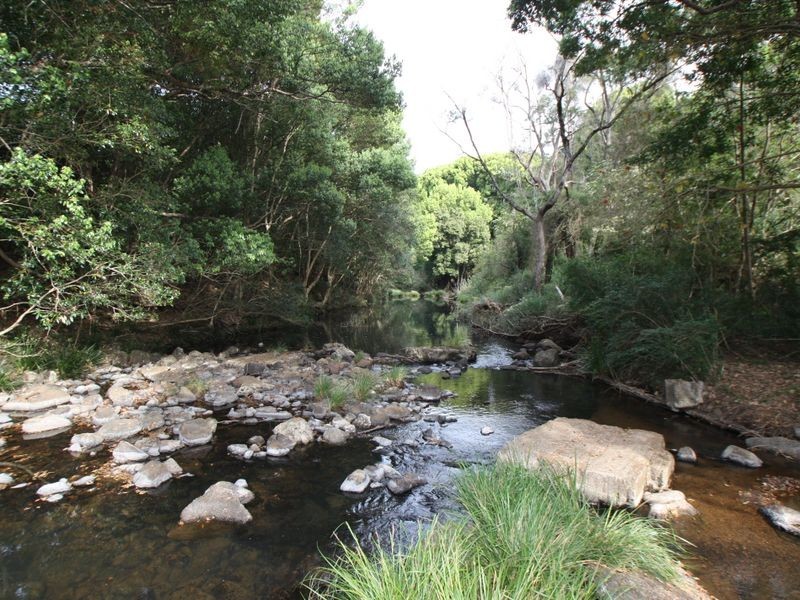 89 Parmenter’s Road, Wilsons Creek NSW 2482