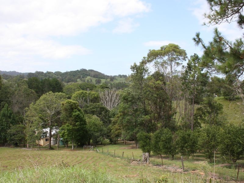 131 Crabbes Creek Road, Crabbes Creek NSW 2483