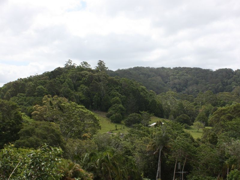 131 Crabbes Creek Road, Crabbes Creek NSW 2483