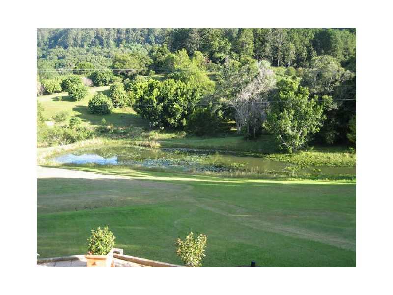 655 WILSONS CREEK ROAD, Mullumbimby NSW 2482