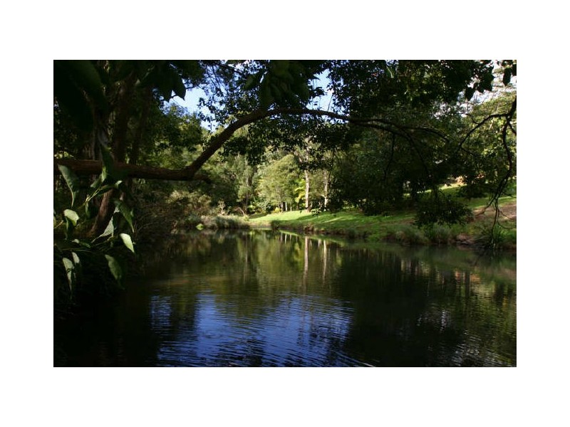 655 WILSONS CREEK ROAD, Mullumbimby NSW 2482