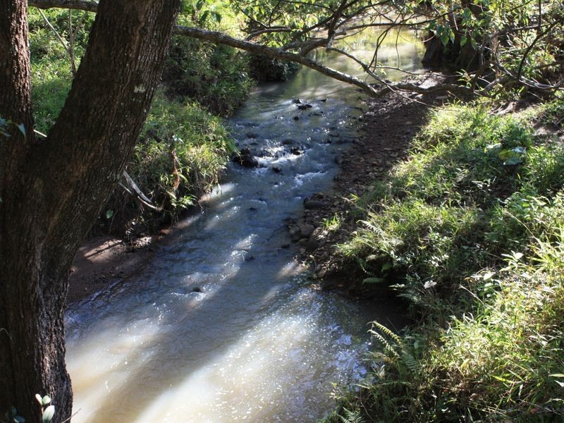 1 Settlement Road, Main Arm NSW 2482