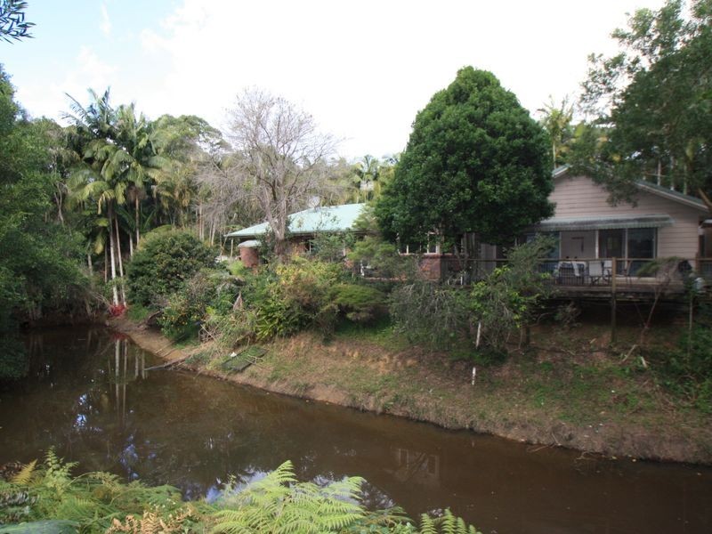 240 Crabbes Creek Road, Crabbes Creek NSW 2483