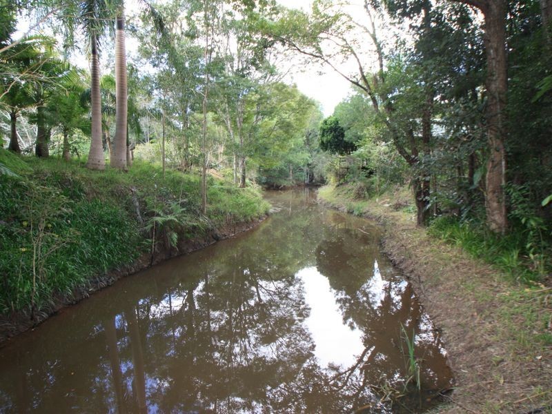 240 Crabbes Creek Road, Crabbes Creek NSW 2483