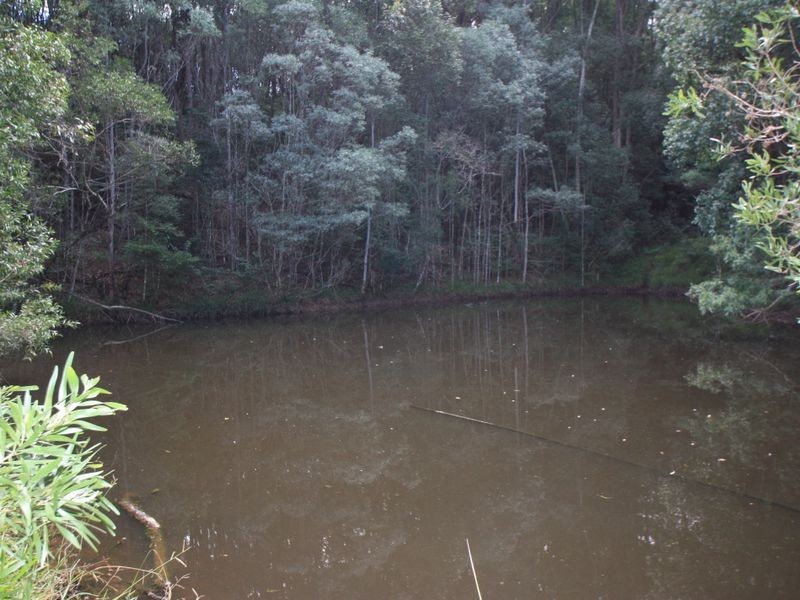 240 Crabbes Creek Road, Crabbes Creek NSW 2483