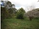240 Crabbes Creek Road, Crabbes Creek NSW 2483