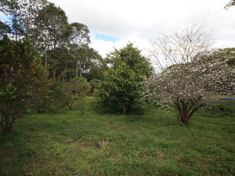 240 Crabbes Creek Road, Crabbes Creek NSW 2483