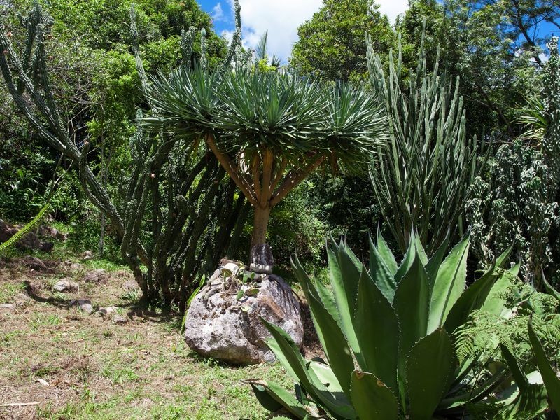 138 Mill Road, Huonbrook NSW 2482