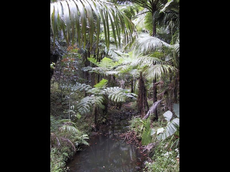 126 Harwood Road, Burringbar NSW 2483