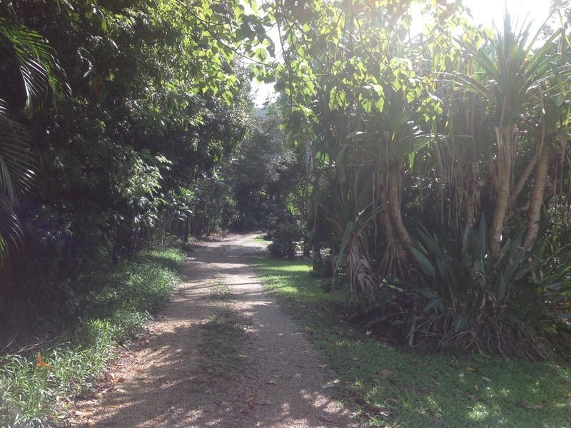 126 Harwood Road, Burringbar NSW 2483