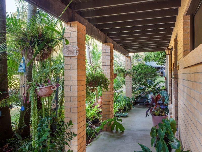 4 Walgooan Way, Ocean Shores NSW 2483