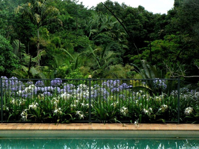 2a Possum Wood Place, Mullumbimby NSW 2482