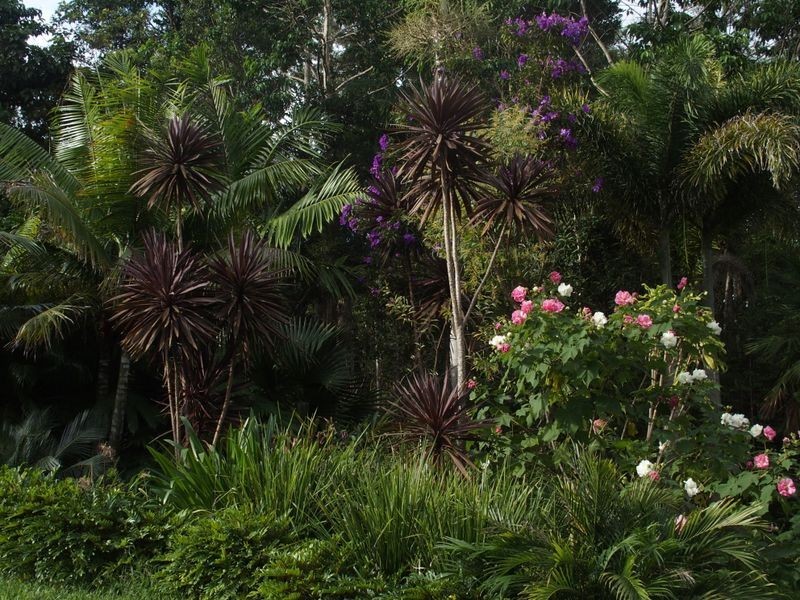 2a Possum Wood Place, Mullumbimby NSW 2482