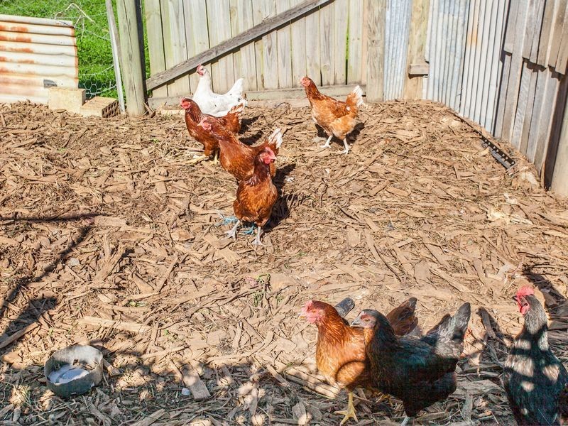 1632 Coolamon Scenic Drive, Mullumbimby NSW 2482