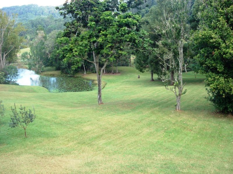 9 Blackbean Road, Wilsons Creek NSW 2482